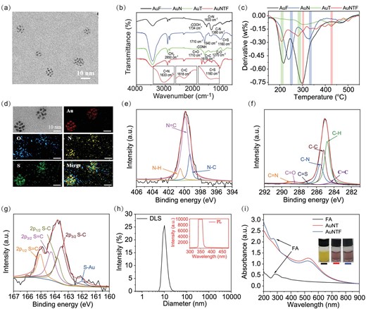 (a) Transmission electron microscopy (TEM) images of AuNTF nanoclusters. (b) Infrared (IR) spectra and (c) derivative thermogravimetry (DTG) analysis of FA-modified gold nanoclusters (AuF), NACB-modified gold nanoclusters (AuN), TPE-modified gold nanoclusters (AuT) and AuNTF nanoclusters. (d) Energy dispersive spectroscopy (EDS) mapping images of AuNTF nanoclusters. (e–g) X-ray photoelectron spectroscopy (XPS) of (e) N 1s, (f) C 1s and (g) S 2p obtained from AuNTF nanoclusters. (h) Dynamic light scattering (DLS, black curve) and fluorescence spectra (red curve) of AuNTF nanoclusters, where the excitation wavelength was 350 nm. (i) UV–Vis spectra and photographs of FA solution, NACB and TPE co-modified gold nanoclusters (AuNT) solution and AuNTF solution.