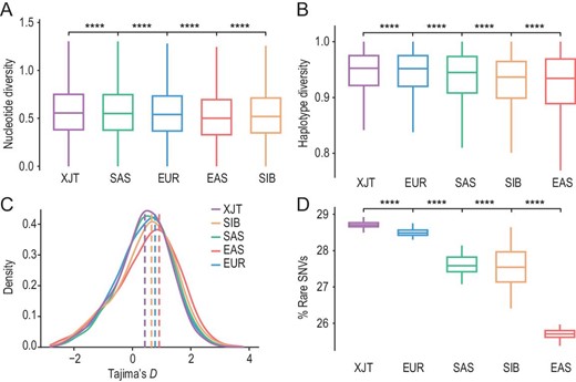 Admixture-driven genetic diversity of XJT. (A) Nucleotide diversity (θπ/kb) of XJT, EUR, SAS, EAS and SIB, estimated within 50 kb sliding windows shifted by 25 kb across the genome. Significance determined by the Wilcoxon rank-sum test: ns: P > 0.05; ∗: P ≤ 0.05; ∗∗: P ≤ 0.01; ∗∗∗: P ≤ 0.001; ∗∗∗∗: P ≤ 0.0001. (B) Haplotype diversity of XJT and the reference populations. (C) Distribution of Tajima's D statistics. (D) Rare SNV proportions in XJT and the reference populations. It was calculated as the proportion of rare SNVs (AF < 0.05).