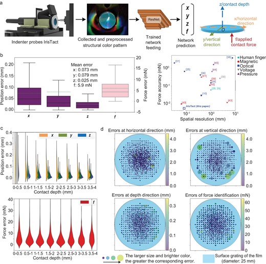 Direct single-point contact performance of IrisTact. (a) Estimation pipeline for inferring single-point contact position and force. The indenter fixed on the calibration platform probes IrisTact, and the structural color pattern is collected. After being preprocessed via the dynamic difference method, the image is fed into the machine-learning model, whose outputs represent the contact location (x, y and z for the planar coordinates and depth of the contact on the film) and normal contact force magnitude (f). (b) Overall performance of IrisTact (mean errors of x = ∼0.073 mm, y = ∼0.079 mm, z = ∼0.025 mm and f = ∼0.0059 N) and the comparison between state-of-the-art tactile sensors and IrisTact. (c) Statistical evaluation of the sensor's performance on the test data. Load localization and identification performances classified according to applied contact depth. The orange-, green- and blue-colored half-violins and red violins represent the distribution of prediction errors in x, y, z and f, respectively. (d) Spatial distributions, projected onto the surface grating, of quantification errors of the force localization and identification for the same test data. The larger the size of the dot and the brighter its color, the greater its corresponding error.