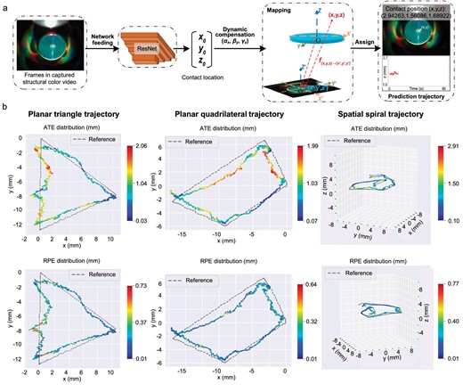 Evaluation of IrisTact's dynamic recognition of contact trajectory. (a) Pipeline for recognizing the dynamic trajectory. ResNet is used to predict the contact location for each frame of the recorded structural color video. After dynamic compensation, these locations are mapped and displayed on the respective frames to visually demonstrate the movement of contact points over time. (b) Graphical evaluation and comparison of IrisTact's dynamic recognition performance, across different trajectories, with the reference trajectory captured by the motion capture system.