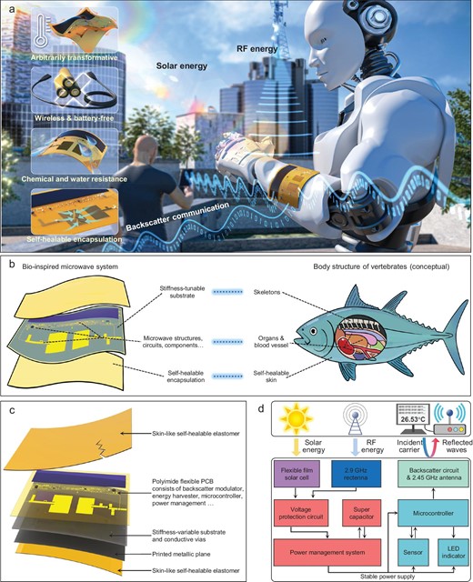 Concept illustration and operating principle of the bio-inspired wireless communication and energy harvesting system. (a) The future application illustration of the system. (b) Conceptional illustration of the bio-inspired strategy. (c) The exploded-view illustration of the constituent layers. (d) The operational diagram of the entire system.