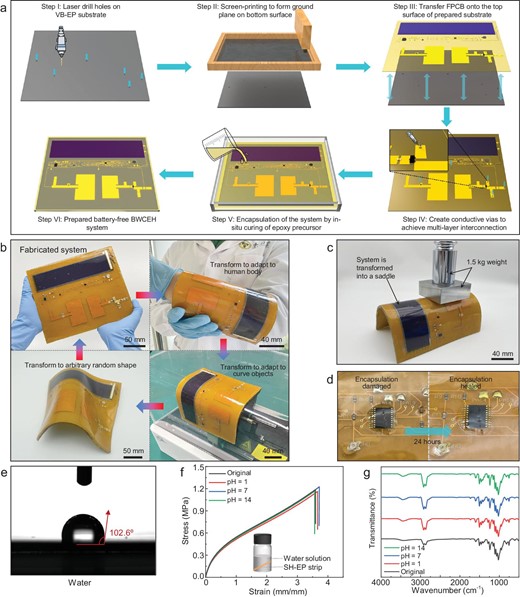 Manufacturing strategy, fabricated system and endurance demonstration. (a) The manufacturing processes. (b) The fabricated system and transformation ability demonstration. (c) Mechanical strength demonstration of the BWCEH system. (d) Self-healing progress of the SH-EP encapsulation. (e) Surface wettability of SH-EP encapsulation, indicating excellent water resistance performance. (f) Tensile stress-strain curves of SH-EP encapsulation after being immersed in solution with different pH for 48 h. (g) FT-IR spectra of SH-EP encapsulation at different conditions. Tensile stress-strain and FT-IR spectra measurements prove that our system possesses the ability to resist strong acidic and alkaline environments.