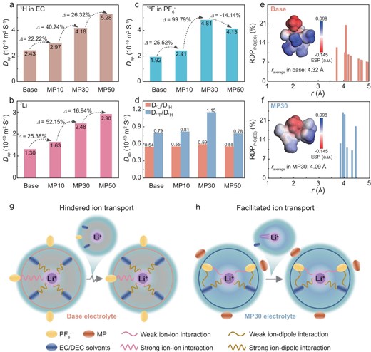 The Dap of (a) EC, (b) Li+ and (c) PF6− in electrolytes with various MP contents monitored by the 1H, 7Li and 19F signals by using the DOSY–NMR spectrum, respectively. (d) The Dab of Li+ and PF6− in electrolytes with various MP contents monitored by the 7Li/1H and 19F/1H by using the DOSY–NMR spectrum. The RDP of P–O(EC) in (e) Base and (f) MP30 electrolytes; the insets show the ESP of the Li+ solvation structures. Schematic diagram of the interaction between Li+, anions and solvents in the solvation structure of (g) Base and (h) MP30 electrolytes.