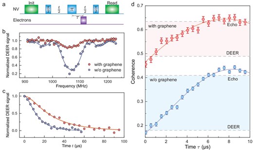 Quantitative measurement of the density and longitudinal relaxation time of the surface electrons by NV1. (a) Schematic of the DEER sequence. (b) Normalized DEER spectra of the diamond sample in air and deposited with graphene. The pulse duration time is fixed, while the frequency of the flip pulse (purple) of electrons is swept from 910 to 1230 MHz. Solid lines are fitted to the analytical solutions under a semiclassical approximation. (c) The DEER decoherence curves are normalized with the noise floor extracted from the noise spectrum to exclude decoherence due to the faster noise, which shows that the coupling strength between the NV center and the surface spin bath decreased from 90.9(50) to 41.0(4) kHz. See the online supplementary material for details. (d) The DEER-echo curves without (blue) and with (red) graphene deposited. The fitting results show that the electron spin density decreased from $2.5(2)\times 10^{-3}$ to $1.1(2)\times 10^{-3}$ nm$^{-2}$, while the relaxation time decreased from 21(3) to 12(3) $\mu\mathrm{s}$. The horizontal dashed lines exhibit agreement with the Hahn-echo and DEER signals.