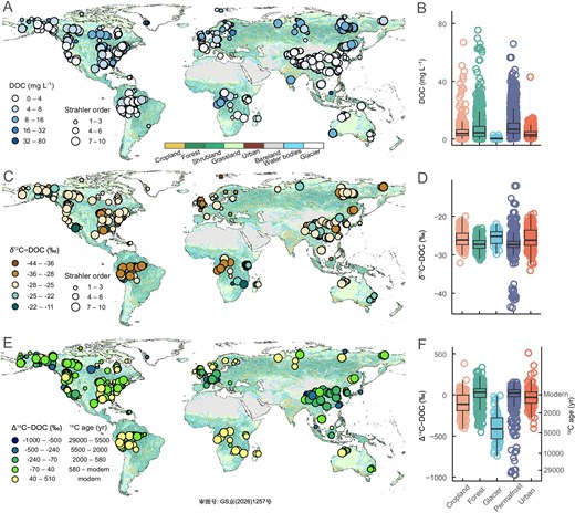 土壌滞留時間が世界河川の溶存有機炭素年代を決定することを解明(Study: Soil Residence Time Governs Age of Dissolved Organic Carbon in Global Rivers) 土壌滞留時間が世界河川の溶存有機炭素年代を決定することを解明(Study: Soil Residence Time Governs Age of Dissolved Organic Carbon in Global Rivers)