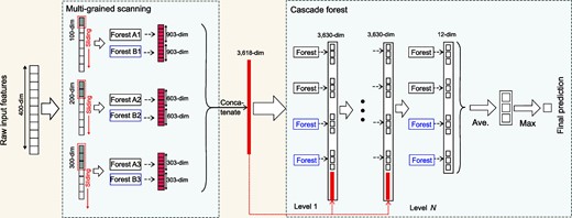 A variant that concatenates all features from multiple grains. Suppose that there are three classes, the raw features are 400-dim, and three sizes of sliding windows are used.