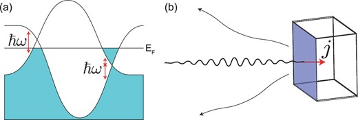 Schematic illustrations of how the circular photogalvanic effect (CPGE) for a single Weyl node quantified in Eq. 1 can be measured in energy-split Weyl semimetals. (a) For a hypothetical material with two Weyl nodes of opposite charge at different energies, there is a range of incident photon frequencies for which optical transitions are allowed across one node but blocked by Pauli exclusion at the other node. The result is that the CPGE is dominated by one node (in this figure, the left node) and approaches its quantized value. (b) A time-domain experiment allows measurement of the low-frequency pulse (outward arrows) produced by the current injected normal to the sample surface by an incident pulse of circularly polarized light. Illustration concept from A. Grushin (Grenoble).