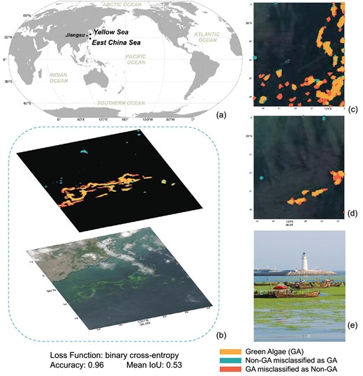Enteromorpha prolifera (a type of green algae) detection. (a) Study area. (b) MODIS images and its corresponding Enteromorpha prolifera classification result. (c) and (d) The fallout ratio or the omission ratio in some pixels due to the cloud contamination of the optical images. (e) Picture taken after Enteromorpha prolifera bloom.