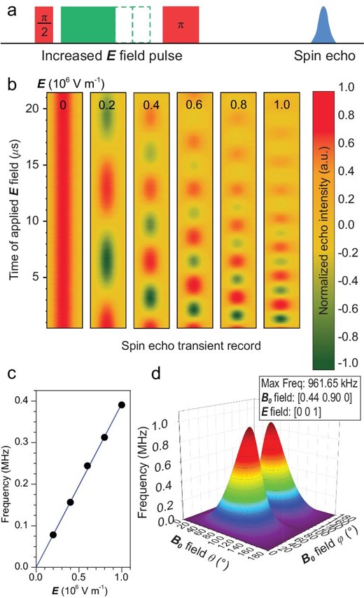 Spin echo oscillation upon the application of an E field. (a) The pulse sequence employed in the experiment. The rectangular E field pulse is applied between the mw π/2 and π pulses of the standard Hahn echo pulse sequence. (b) The transient spin echo oscillates with increasing frequencies upon enhancing the E field strength from 0 to 106 V/m. (c) The quantum phase evolution frequency, derived from the Fourier transformation of (b), shows a linear dependence on the E field strength. The error bars lie within the size of the points. (d) The quantum phase evolution frequency is simulated with varying directions of the E and B0 fields. The most efficient frequency for quantum phase control is optimized to be 0.96 MHz when E//z and B0//(0.44, 0.90, 0) with respect to the local Ce3+ coordinates. θ and φ denote the polar and azimuthal angles. The experiment was conducted at 10 K, with the microwave frequency 9.667 GHz.