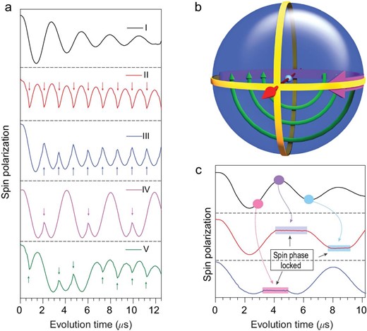 The E field phase gate demonstration of quantum bang-bang control and the dynamic decoupling realized by mw pulses. (a) (I) The phase evolution within the xy plane of the Bloch sphere driven by theE field phase gate. (II) to (V), Four trains of mw pulses to kick the spin echo. The arrows indicate the moment at which the mw pulses are applied. The quantum phase evolution reverses when applying the microwave pulses. (b) The Bloch sphere demonstration of this bang-bang control. The bold purple curve represents the spin phase evolution induced by the E field phase gate, and the thin green curves indicate the mw ‘kicking’ operation. The straight red arrow is the B1 field direction. (c) Successive mw pulses, which were continuously implemented during the plateaus, can lock and release the phase evolution at arbitrary positions. The experiment was conducted at 10 K, with the microwave frequency 9.667 GHz.