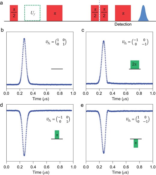 The refined D-J algorithm (n = 1) using the E field pulses as the f-controlled gates. (a) The pulse sequence of the D-J algorithm demonstration. The initial π/2 pulse is applied to prepare the superposition state of $\frac{1}{{\sqrt 2 }}( {| {0 \rangle + } |1 \rangle} )$. The green blocks indicate the four f-controlled gates, as shown in the insets of (b–e). The following π/2 pulse is to convert the evolved superposition state into eigenstates ${|0 \rangle}$ (for constant functions, ${f_1}$ and ${f_2}$) or ${|1 \rangle}$ (for balanced functions, ${f_3}$ and ${f_4}$). The final Hahn echo pulse sequence is to read out the eigenstates ${|0 \rangle}$ or ${|1 \rangle}$. The spin echo results are shown in (b–e), among which (b) and (c) with positive phases correspond to eigenstate ${|0 \rangle}$, whereas (d) and (e) with negative phases indicate eigenstate ${|1 \rangle}$. The experiment was conducted at 10 K, with the microwave frequency 9.667 GHz.