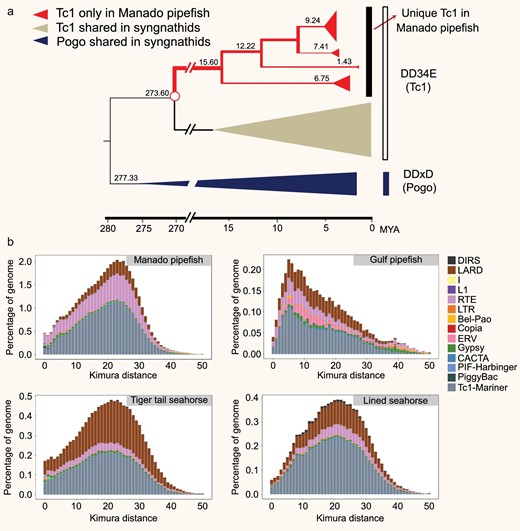 Transposable elements (TEs) in syngnathids. (a) Dating the Tc1/mariner subfamily. Each group is shown as a triangle, where the horizontal distance is proportional to the age and the vertical distance is proportional to the number of sequences in the group. (b) Kimura distance-based copy divergence analysis of TEs in syngnathids. The x-axis indicates a specific TE family at a given divergence from the consensus sequence and y-axis indicates its percentage in the genome.