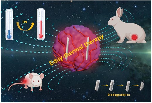 Schematic illustration of MHT based on the eddy thermal effect of the biodegradable MgA rods.