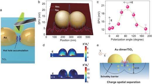 Plasmon-induced charge spatial distribution of Au dimer/TiO2 nanostructure. (a) Schematic of Kelvin Probe Force Microscopy measurement of the Au nanoparticle dimers (NDs) on the TiO2 substrate. Plasmonic holes confined at Au/TiO2 interface which locates nanogap region between Au NDs. (b) Measured (Mea.) and restored (Res.) SPV profiles along the center horizontal line of the Au NDs under 620 nm light illumination. Inset: three-dimensional (3D) atomic force microscopy (AFM) image of Au NDs/TiO2. (c) SPV measured at the spot of Au NDs/TiO2 interface as a function of incident light polarization angle. The black bidirectional arrows indicate the direction of the light polarization. The angle 0° corresponds to the polarization perpendicular to the Au NDs axis. Error bars indicate the statistical uncertainty in the SPV. (d) Sectional view of the simulated electromagnetic (EM) field intensity distribution when the polarization angles are 0° and 90°. (e) Schematic illustration of plasmon-induced charge spatial separation of the Au NDs/TiO2 system. SCR stands for surface charge region. The downward purple arrow means the direction of plasmonic electron transfer from Au NPs to TiO2.