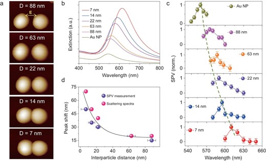 Surface photovoltage (SPV) measurement and calculated extinction spectra of Au NP/TiO2 and Au NDs/TiO2 with different interparticle distances. (a) AFM images of Au NDs/TiO2 with varying separation distance (D) on a TiO2 substrate. (b) Calculated extinction spectra of Au NP/TiO2 and Au NDs/TiO2. (c) SPV spectra comparison of Au NP/TiO2 and Au NDs/TiO2 structures. In these measurements, the polarization is parallel to the Au dimer axis. The green dashed line is the maximum SPV as a guide to the eye for the red-shift of the SPV peak. The normalized SPV signals are shown for easy comparison. Error bars in the plots indicate the statistical uncertainty in the SPV. (d) SPV and SPR peak shift versus the separation distance of the Au dimers compared to Au NP. The black curve is fitted by single-exponential function.