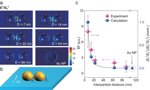 Spatial distribution of the calculated near-field enhancement and the experimental SPV EF of Au NP/TiO2 and Au dimers/TiO2 with varying gap distance (D). (a) Spatial distribution of the calculated near-field intensity enhancement (defined as $| {{{\rm{E}}^2}/{\rm{E}}_0^{{\rm{\ }}2}} |$) at plasmon resonance excitation. (b) Schematic of the definition of P1 and P2. P1 corresponds to the Au NDs/TiO2 interface in the nanogap region, and P2 corresponds to the region of the Au NDs/TiO2 extremities. (c) SPV EF and the square of the calculated near-field intensity enhancement of Au NP/TiO2 and Au NDs/TiO2 as a function of the dimer interparticle distance. E1 and E2 correspond to the electric field intensity at P1 and P2, respectively. Error bars in the plots indicate the statistical uncertainty of the SPV.
