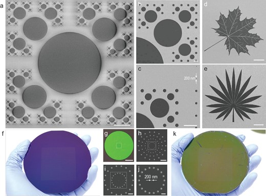 Multi-scale patterning with the resist-nanokirigami process. (a) SEM image of a fractal pattern consisting of disks with the diameters from 200 nm to 200 μm. (b) and (c) Enlarged SEM images of selected areas in (a). (d) and (e) SEM images showing two kinds of multi-scale resist structures. (f) Photograph showing the feasibility of 4-inch-wafer-scale resist nanokirigami. (g) Photograph of a unit cell of the sample shown in (f). (h)–(j) SEM images showing micro- and nanoholes in the unit cell. (k) Photograph showing the transfer-printed resist film peeled from the sample shown in (f). Scale bars: 50 μm in (a), (d), (e) and (g); 5 μm in (b), (c) and (h); 2 μm in (i); 1 μm in (j).
