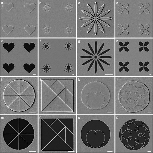 Fabrication of complex metallic structures with resist nanokirigami. (a)–(c) Structures containing sharp features. (d) A flower-like structure formed by four closely packed leaves. (e)–(h) The corresponding inverse metallic structures after lift-off. (i)–(l) Multi-scale structures divided by nanolines. (m)–(p) The corresponding inverse metallic structures after lift-off. All scale bars: 1 μm.