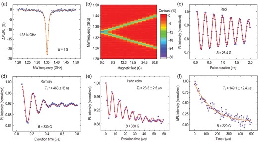 Spin properties of a single PL6 defect at room temperature. The magnetic field is arranged to be parallel to the crystal c axis. (a) CW-ODMR spectra in the zero magnetic field. The blue dots are the experimental raw data, and the orange line is the corresponding Lorentzian fitting centred at 1.3514 GHz. (b) The CW-ODMR spectra as a function of the magnetic field intensities. (c) Rabi oscillation measured in a magnetic field of 26.4 G. (d) Ramsey oscillation measured in a magnetic field of 330 G. From the fitting, the inhomogeneous spin-dephasing time $T_2^*$ is deduced to be 463 ± 35 ns. (e) Hahn echo coherence time measured in a magnetic field of 330 G. From the fitting, the homogeneous spin coherence time T2 is 23.2 ± 2.5 μs. (f) A representative measurement of T1 with a magnetic field of 220 G. The purple dots are the experimental data, which are fitted by a single-exponential decay function.