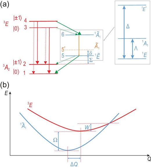 Theoretical model. (a) Defect levels and decay paths in divacancy defects. This simplified diagram is valid at room temperature in the 3E excited state and at zero strain and magnetic fields. The radiative decays are depicted by the red arrows, whereas the non-radiative processes are shown by the green arrows. Radiative and non-radiative decays compete between the ${}^1\widetilde{A}_1$ and ${}^1\widetilde{E}$ singlet states (see the box in the middle of the figure), as depicted by an orange arrow. The very weak transitions are depicted by thin dotted arrows. The tilde represents vibronic states, in which strong electron-phonon coupling mixes the three singlet states, as shown in the box on the right-hand side of the figure. The $\widetilde{A}_1$ state (orange dashed level) is the first excited vibronic state over the ${}^1\widetilde{E}$ ground state, which plays a role in the temperature dependence of intersystem crossing towards the ground-state manifold. The defect states are enumerated. The corresponding energy gaps are labelled with Greek letters. The energy gaps between the ms = ±1 and ms = 0 spin levels are magnified by 6 orders of magnitude for the sake of clarity. (b) Levels crossing between the bright and dark excited states. Schematic energy (E) versus configuration coordinate (Q) diagram for the divacancy defects. At cryogenic temperatures, the energy gap is Ω between the bright 3E and dark ${}^1\widetilde{A}_1$ states. The barrier energy for the 3E state is W in order to reach the crossing point between the two levels.