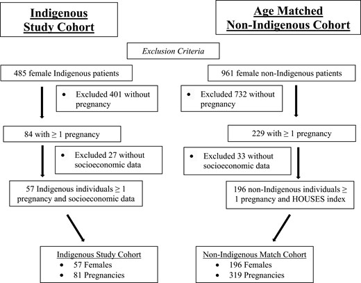 Flow chart for inclusion criteria for Indigenous females and matched regional cohort who were pregnant from 2006 to 2019 in Olmsted County, Minnesota.