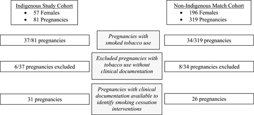 Flowsheet demonstrating proportion of patients in indigenous and non-indigenous cohorts with smoked tobacco use during pregnancy, uptake of pharmaceutical cessation aids, and effectiveness of smoking cessation aids.