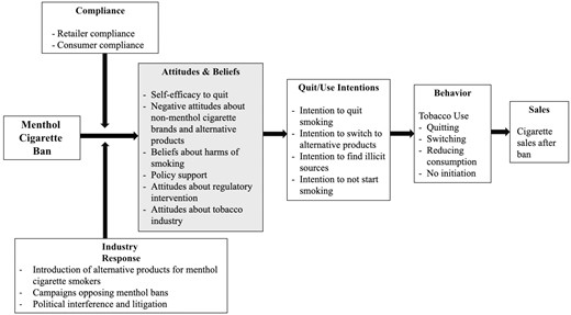 Theoretical model describing the relationship between a menthol cigarette ban and tobacco use behavior. The model was informed by studies identified in the review and health behavior theories that propose health behavior is determined, in part, by attitudes and beliefs, intentions, and environmental factors. The model indicates that a menthol ban impacts tobacco use behavior and sales by affecting individuals’ attitudes and beliefs and quit/use intentions. In addition, retailer and consumer compliance and the tobacco industry’s response to a menthol ban moderate the relationship between a menthol ban and individuals’ attitudes and beliefs. For example, studies identified in the review suggest the tobacco industry interferes with menthol bans by introducing new replacement products for menthol smokers to the market. Studies about attitudes and beliefs about menthol bans were not reviewed or summarized in this review.
