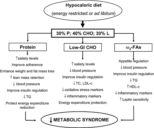 Metabolic changes that could be achieved with an energy-restricted or ad libitum diet combining moderate protein content with low glycemic index carbohydrates and high omega-3 fatty acids intake.