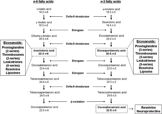 Metabolism of n-6 and n-3 PUFA.