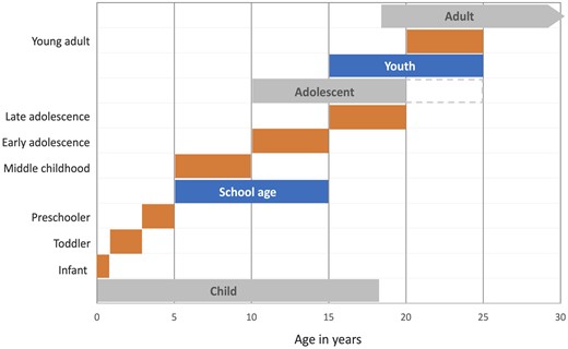 Major developmental life stages (in gray) and commonly used terminology for specific developmental stages as related to age. Modified and adapted from Bundy et al 20171 and Sawyer et al 20189
