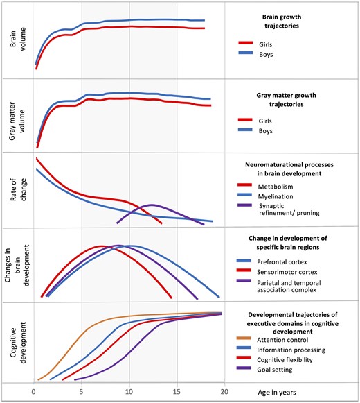 Neuromaturational and cognitive development trajectories in school-age years (gray-shaded area). Compiled and adapted from Peterson et al 202138 (brain and gray matter growth), Tapert and Schweinsburg 2005114 (neuromaturation process rate), Lee et al 2014115 (brain region development), and Anderson 200246 (cognitive development executive domains)