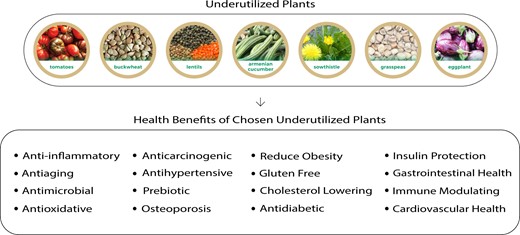 Potential health benefits of underutilized plants. Buckwheat, sowthistle, Armenian cucumber, and some neglected, but more nutritionally valuable, varieties of certain species, such as tomato, grass pea, eggplant, and lentils, are provided as examples