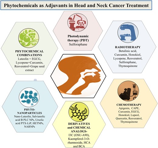 Graphical Abstract