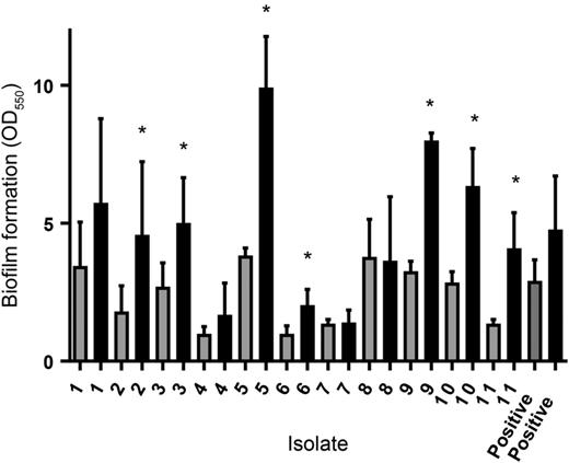 Biofilm formation by Aerococcus sanguinicola after 72 hours of incubation in the presence of medium (gray bars) or medium containing 10% human plasma (black bars). The error bars represent the standard deviation from 3 different experiments. The asterisks indicate a statistically significant increase in the amount of biofilm formed in the presence of plasma compared to the amount of biofilm formed in medium alone. The mean negative control absorbance value was 0.083 (range, 0.055–0.31).