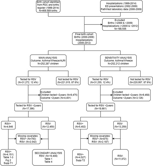 Flow diagram of cohort selection. Abbreviation: RSV, respiratory syncytial virus.