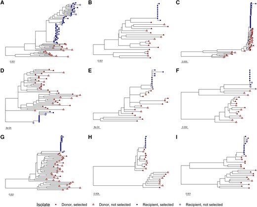 Phylogenetic trees for individual transmission pairs. A phylogenetic tree was generated using the neighbor-joining method for 401 single-genome human immunodeficiency virus (HIV) sequences. The sequences of 4 hundred primary isolates associated with 18 individuals in 9 linked female-to-male HIV transmission pairs were obtained from GenBank. The laboratory strain NL4-3 was included in tree generation as an outgroup but was excluded from the figure display for clarity. Portions of the tree corresponding to the individual transmission pairs, A–I, are displayed separately. Tip symbols differentiate sequences from donors and recipients, as well as genomes containing Rev–Rev response element pairs that were selected or not selected for inclusion in functional assays. Horizontal bars represent nucleotide substitutions per site. See also Supplementary Figures 1 and 2.