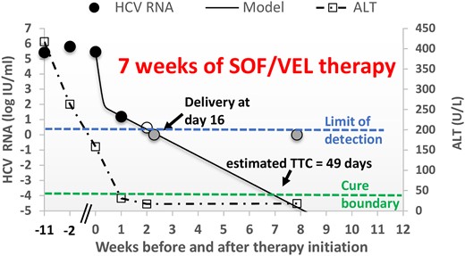 Plot of HCV RNA viral load (circles) and ALT levels (squares) over time before and after SOF/VEL therapy initiation. Filled circles, observed HCV viral load above the limit of quantification; empty circle, <15 IU/mL; gray circles, target not detected (upper horizontal dashed line); solid line, mathematical modeling (Eq. 1); lower horizontal dashed line, cure boundary. Abbreviations: ALT, alanine transaminase; HCV, hepatitis C virus; SOF/VEL, sofosbuvir/velpatasvir; TTC, time to cure.