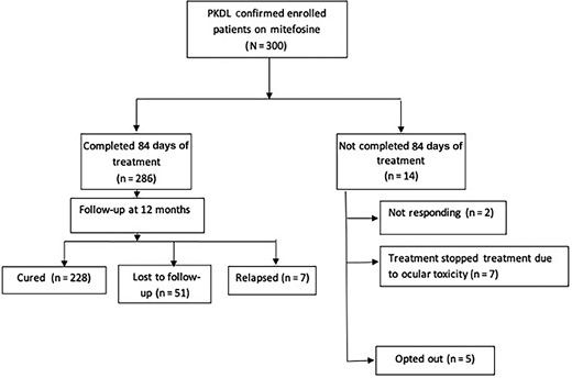 Treatment of post–kala-azar dermal leishmaniasis (PKDL) with miltefosine. Study flowchart, from patient enrollment to final 12-month follow-up.