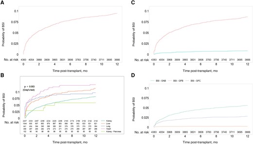 Estimated cumulative incidence of bacteremia during the first year post-transplant: (A) in the overall cohort; (B) per transplant type; (C) based on the number of pathogens identified: mono- vs polymicrobial bacteremia; and (D) based on the type of pathogen for monomicrobial bacteremia events (gram-positive cocci vs gram-negative bacteria vs gram-positive bacteria). The temporal tendency of bacteremia during the study period is presented in (E), showing the incidence proportions of patients infected during the first year after transplant date by transplant year via locally weighted scatterplot smoothing with span 1.5, a nonparametric local regression approach. Abbreviation: BSI, bloodstream infection.