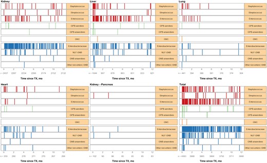 Infection density by pathogens causing bacteremia during the first year after a solid organ transplant overall and by transplant type.