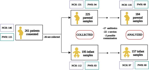 Patient cohort: enrollment and parental/infant samples.