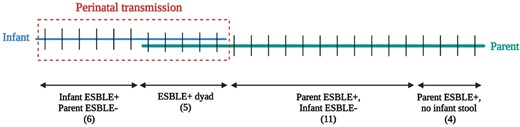 Mother and infant colonization with ESBL-E.