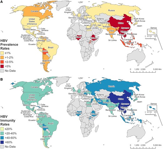 Prevalence of hepatitis B surface antigen positivity (A) and hepatitis B virus (HBV) immunity rates (B) by country of birth. Geographic boundaries are based on data from Natural Earth (country shape files, 1:110 and 1:50 million; downloaded 23 March 2023 from https://www.naturalearthdata.com).