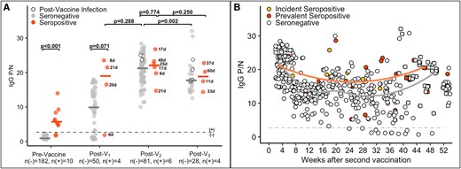 SARS-CoV-2–specific immunoglobulin G (IgG) subtype responses among health care personnel before and after vaccination against SARS-CoV-2 with an mRNA-based vaccine. A, SARS-CoV-2–specific IgG positive-to-negative (P/N) ratios at prevaccine, post–vaccine 1 (post-V1), post–vaccine 2 (post-V2), and postboost (post-V3) time points by serostatus prior to vaccination: seronegative, n(–); seropositive, n(+). For the prevaccine time point, the most recent antibody level is shown prior to vaccination (for those who were vaccinated) or the most recent antibody level overall (for the 1 individual who was not vaccinated). For the postvaccine time points, the first measurement after 5 days postvaccination dose is included. The dotted line is a P/N ratio of 2.40, the cutoff associated with 98.6% specificity (SARS-CoV-2 IgG positive above the line, IgG negative below). The numbers next to the circles indicate the number of days between vaccination and sample collection for seropositive cases. Postinfection measurements for individuals who were infected with SARS-CoV-2 at any time after the first vaccine dose are shown as open circles. B, All total IgG P/N measurements after 5 days post-V2 for the entire study cohort: incident seropositive, yellow circles; prevalent seropositive, red circles; seronegative, open circles. Solid lines represent Loess curves for incident and prevalent seropositive cases combined (orange line) and those that were seronegative (gray line). P/N values from time points after the booster dose (post-V3) are shown as squares.