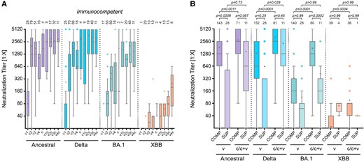 Immunity after vaccination, infection, or hybrid status. A, Neutralization titers of immunocompetent individuals (COMP) after vaccination (v) only (v1, v2, v3, and v4), infection only (c), or hybrid status, regardless of the sequence of events (v1c, v2c, v3c, and v4c). B, Comparison of neutralization titers of immunocompetent and immunocompromised (SUP) individuals grouped in vaccination only (v2–v4 for COMP or v3–v5 for SUP) or by infection and hybrid status (c/c + v). Sera was measured against the ancestral Wuhan isolate, the Delta, Omicron BA.1, or Omicron XBB.1.5 variant. Data are presented as box plots showing the median, mean (+), 25th to 75th percentiles with whiskers, and outliers plotted based on Tukey, the number of samples is indicated above each box plot, 2-way ANOVA followed by Bonferroni's multiple comparisons test for each viral strain separately.