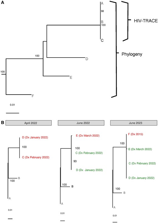 Examples of selected molecular clusters in Rhode Island. The figure demonstrates 2 examples of selected phylogenetic clusters identified during the 2-year study period in Rhode Island. A, A Centers for Disease Control and Prevention cluster of concern (A, B, C) identified by HIV-TRACE, with additional members (D, E, F) identified by phylogeny. B, The longitudinal evolution of a cluster of people who inject drugs, demonstrating those newly diagnosed (in red) and recently diagnosed (in green). “Dx” next to sequence names indicates diagnosis dates and the months in which clusters were identified are indicated by gray bars above the trees (June 2023 is beyond the 2-year study time period, but enabled by continued monthly statewide cluster analyses). Trees were created with RAxML; bootstrap support >80% is shown, with the scale shown at the bottom of the trees. See text in Results, Cluster Analyses for more details.