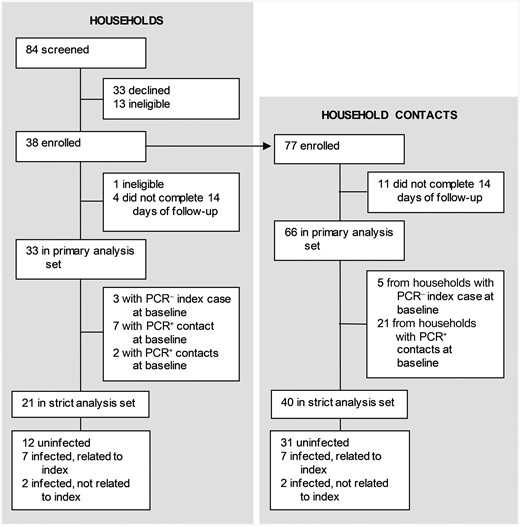 Trial profile. Abbreviations: PCR–, polymerase chain reaction negative; PCR+, polymerase chain reaction positive.