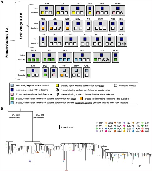 Household diagram. A, Individual households are labeled with a 3-letter identifier and represented with gray boxes. Households in both the primary and strict analysis sets are shown. Each member of the household is shown within the gray box, with their outcome color-coded as described in the legend. B, Phylogenetic tree of positive samples. Abbreviations: 2o, secondary; PCR, polymerase chain reaction.