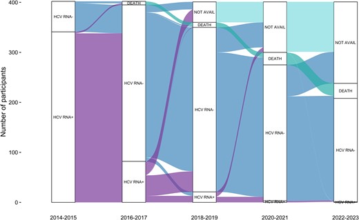Alluvial plot of HCV status. The plot visualizes transitions between HCV status and states over the study period. Positive (+) and negative (–) signs denote whether HCV RNA was detected or not. “Not avail” indicates that no HCV RNA test was available. HCV, hepatitis C virus.