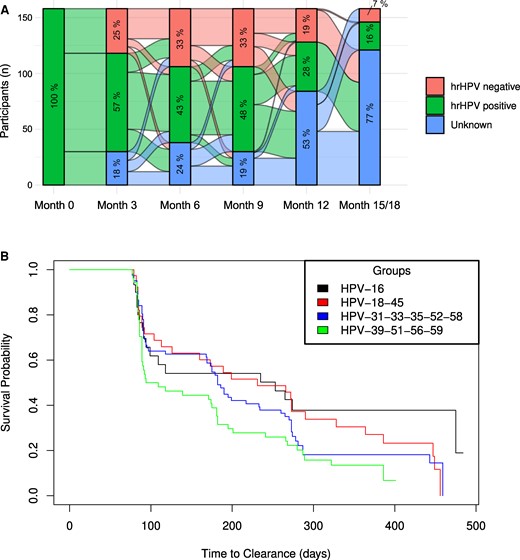 Natural history of HPV infections in African women. A, Transitions in HR-HPV infection status over 18 months. Alluvial plot denotes HPV DNA testing results of 153 participants with HR-HPV infections at enrollment. The percentage in each section of the bars indicates the proportion of women with an HR-HPV DNA result that is positive, negative, or unknown. B, Time to clearance by HPV risk class over 18 months. Kaplan-Meier plot denotes the time to clearance among women with HPV-16 (n = 30); HPV-18 or 45 (n = 39); HPV-31, 33, 35, 52, or 58 (n = 82); and HPV-39, 51, 56, or 59 (n = 54) at enrollment. Abbreviations: HPV, human papillomavirus; HR, high risk.